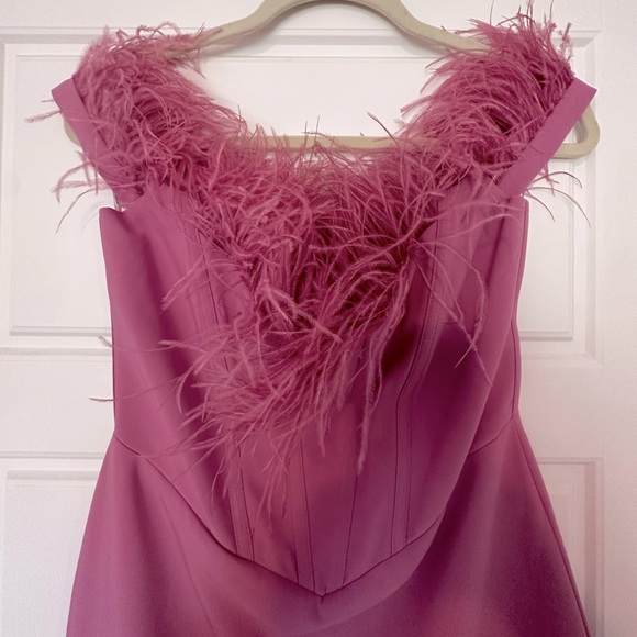 Miss Circle Ophelia Fuchsia Feather Corset Dress - Picture 4 of 4